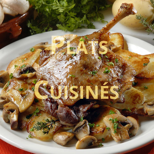 plats cuisinés