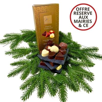 Ballotin de Chocolats Belges 100g 